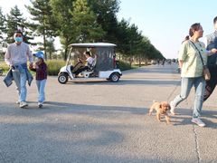 -汉长安城未央宫国家考古遗址公园