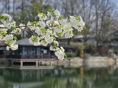 -东湖听涛景区