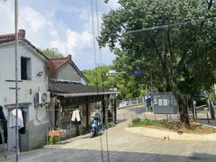 -再回楼饭店·农家菜·大鱼头(南山竹海店)