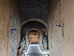 -洛阳古墓博物馆