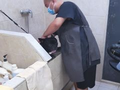 -美联众合动物医院·内科·皮肤科·外科(古城分院)