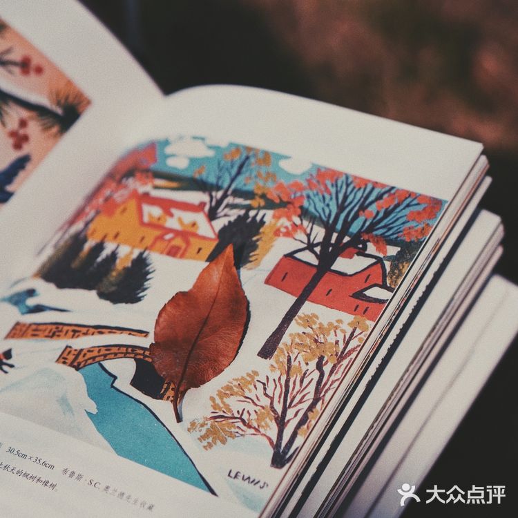 秋日碎片🍂日系暖调电影感滤镜|摄影调色