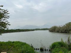 -三垟湿地