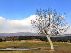 -钟山体育运动公园