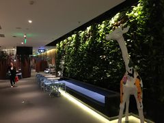 大堂-海底捞火锅(金花路店)