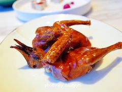 脆皮妙龄鸽-新荣记(新源南路店)
