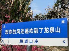 -桃源山庄·水蜜桃采摘·柴火鸡·烧烤团建(龙泉山店)