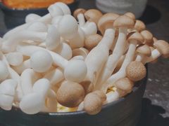 双菇拼-新草堂锅物料理(泉城路店)