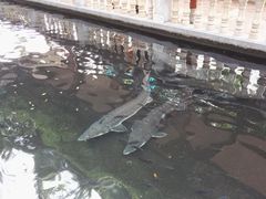 景点-宝墨园景区