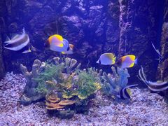 -常州海昌海洋探索馆