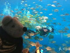 -瑞德姆美人鱼海底演艺主题餐厅(亚龙湾店)