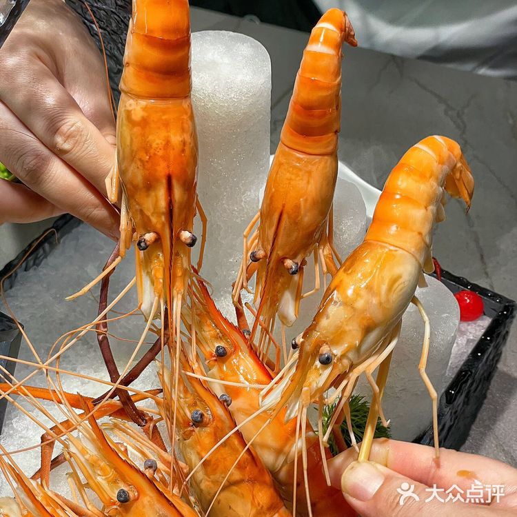 上海！独栋小别墅里面吃饭！只要150元！