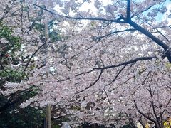 -海东龙宫寺