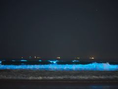 -西涌国际滨海旅游区