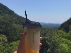 -韬光茶庵