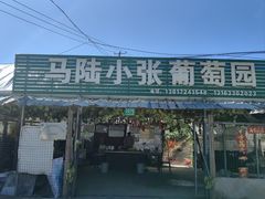 -马陆小张葡萄园农家乐