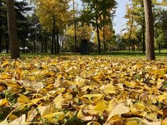 -洨河生态公园