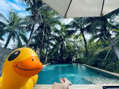 -海南清水湾莱佛士酒店