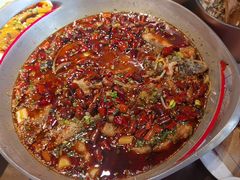 -向川南·水煮鱼·川菜(和平里店)