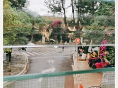 -翠云楼·汽锅鸡·云南特色菜(翠湖公园店)