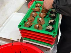 -陈记紫菜饼(湖滨霞店)