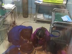 -美联众合宠物医院·爱萌分院·内外科·猫科中心
