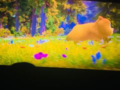 -华美国际影城(旧宫永辉店)