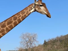 -杭州野生动物世界