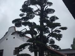 -径山寺
