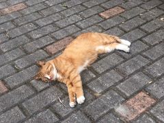 -苏州河梦清园环保主题公园