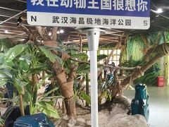 -海合安武汉极地海洋公园