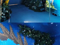 -新世界大丸百货