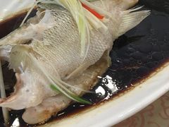 -海洁灌汤包(南五马路店)