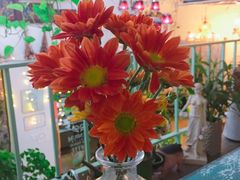 -Jo's Garden