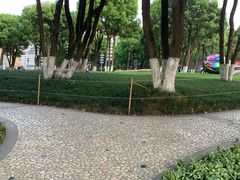 -重庆市江北嘴中央商务区中央公园