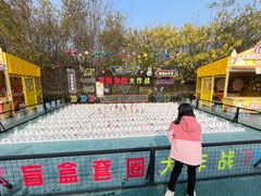 -红山体育乐园