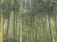 -裸心谷·裸心味餐厅