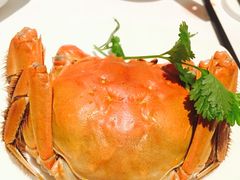 -福1039(愚园路店)