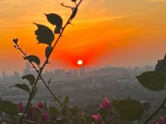 -火炉山森林公园