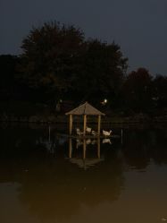 -玄武湖景区-情侣园游乐场