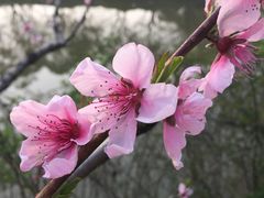 -上海怡沁园度假酒店