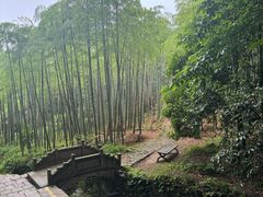 -莫干山风景区