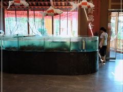 水产区-耕渔小院·湖南鱼鲜(望城店)