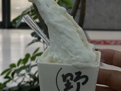 -野人先生Gelato(上海长宁龙之梦店)