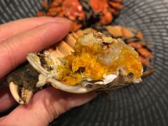 -新发展亚太JW万豪酒店·福苑咖啡厅