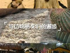 -南昌动物园