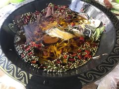 -金三可市井水煮鱼(金碧园店)