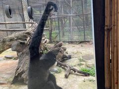 -云南野生动物园