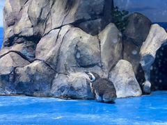-青岛海底世界-水族馆
