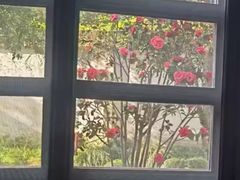 -苏州东山雕花楼宾馆